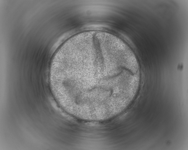 X0000111870994200909031811