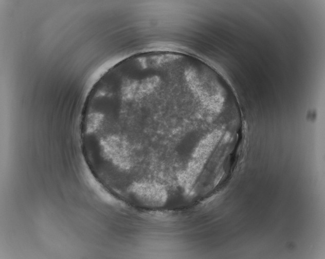 X0000111870995200909031811