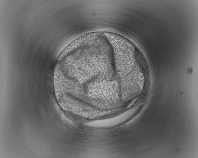 X0000111871001200909031811