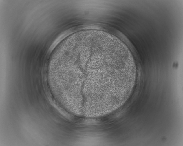 X0000111871002200909031811