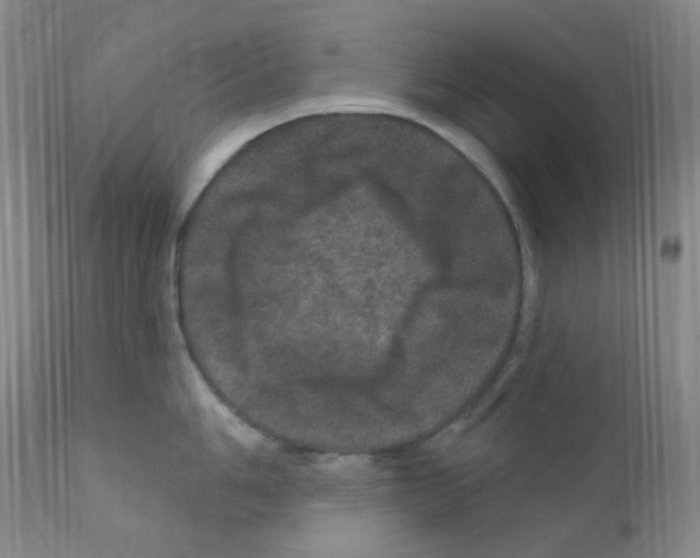 X0000111871006200909031811