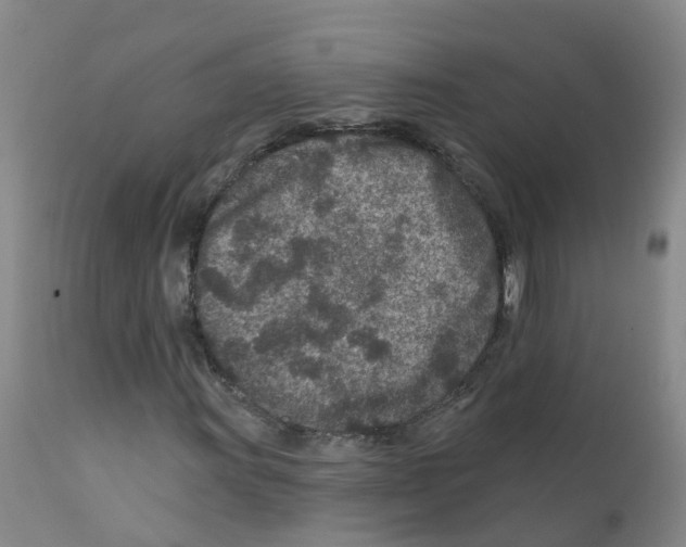 X0000111871011200909031810