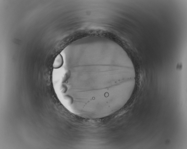 X0000111871013200909031810