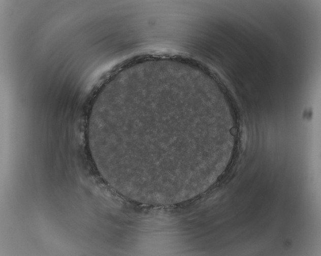 X0000111871016200909031810