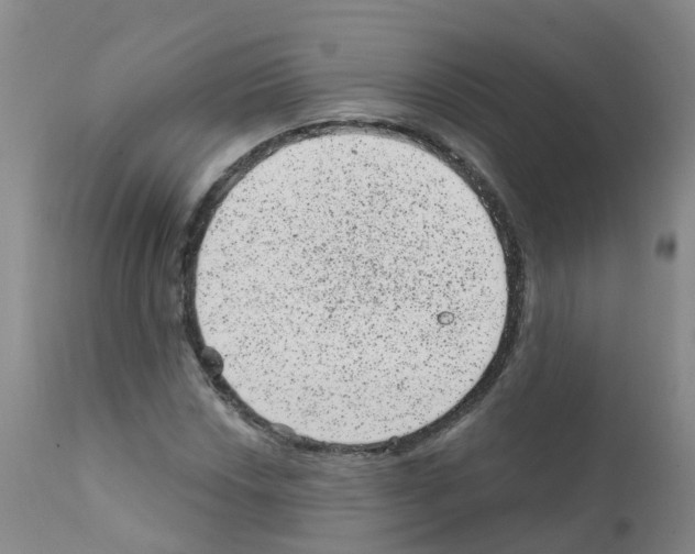 X0000111871018200909031810