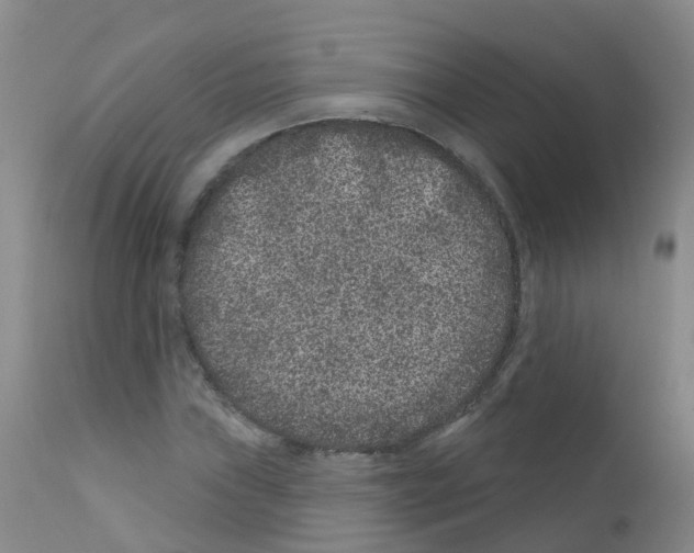 X0000111871019200909031810