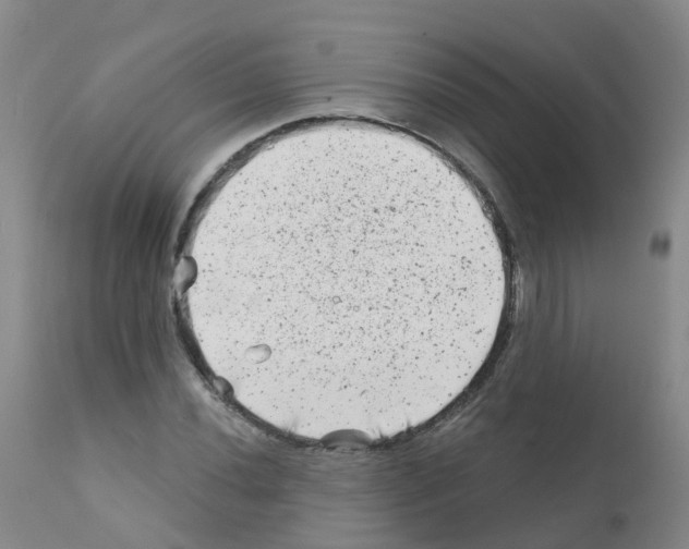 X0000111871020200909031810