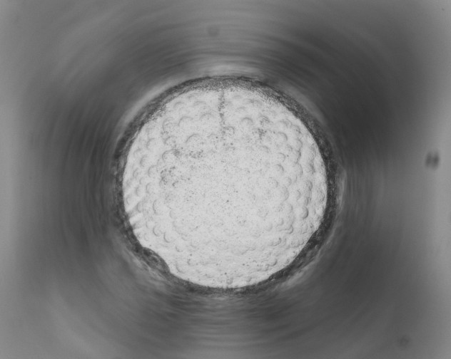 X0000111871021200909031810