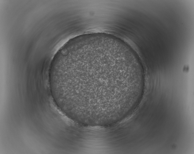 X0000111871023200909031810