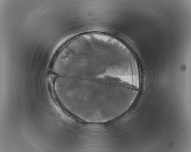 X0000111871024200909031810