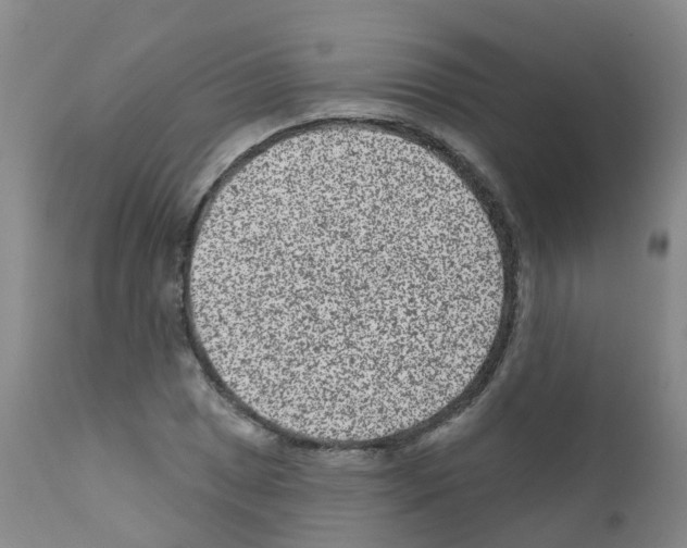 X0000111871025200909031810