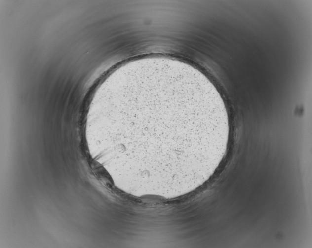 X0000111871026200909031810