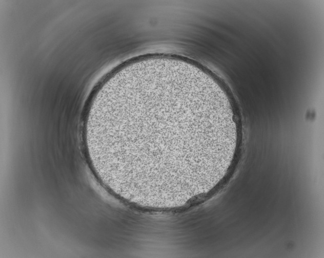 X0000111871029200909031810