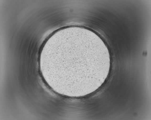 X0000111871030200909031810