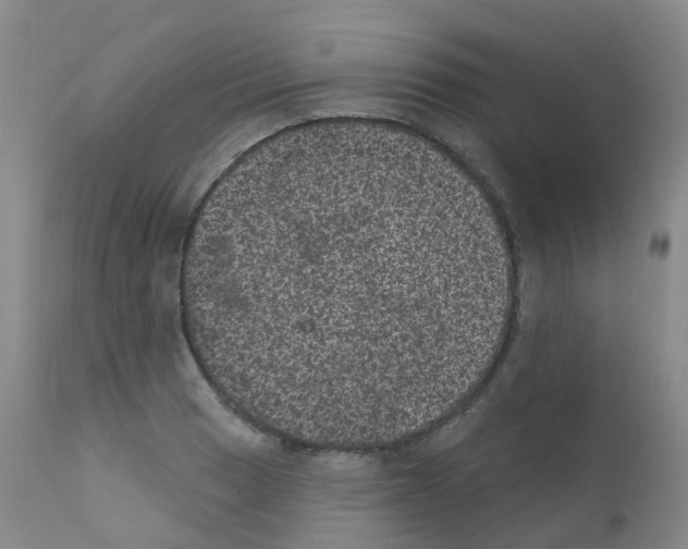 X0000111871033200909031810