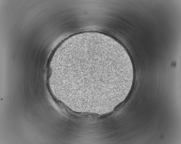 X0000111871034200909031810