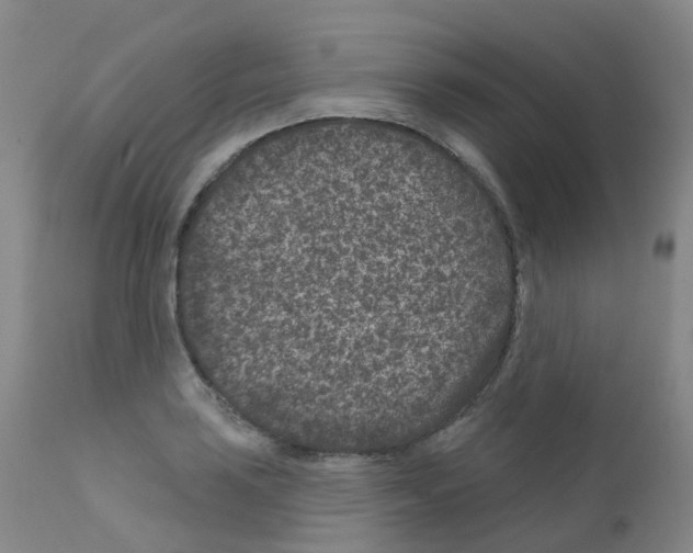 X0000111871035200909031810