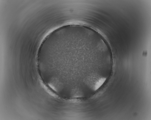 X0000111871037200909031810