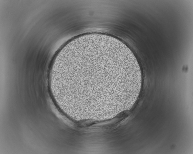 X0000111871038200909031810