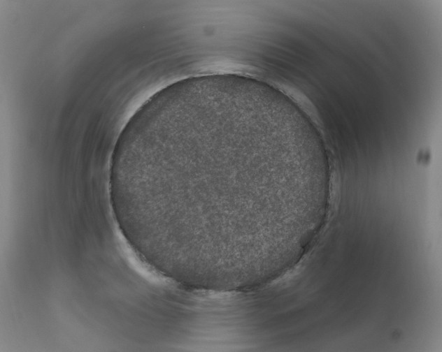 X0000111871039200909031810