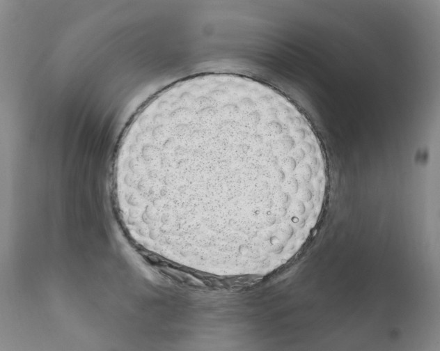 X0000111871040200909031810