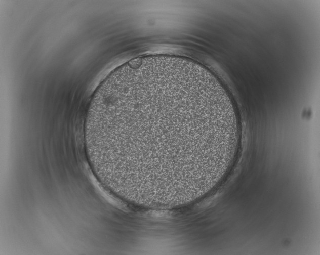 X0000111871041200909031810