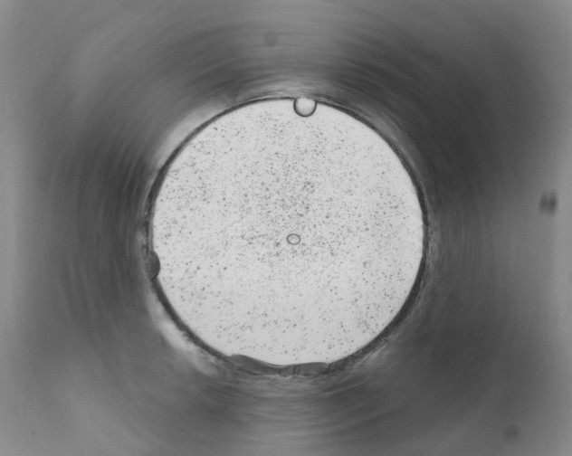 X0000111871042200909031811