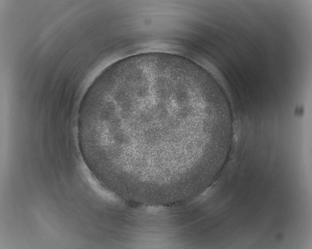 X0000111871043200909031811