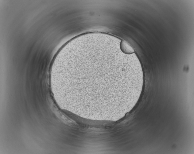 X0000111871044200909031811