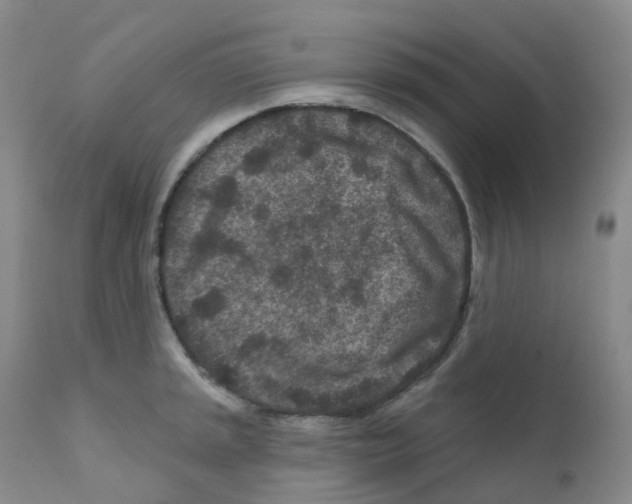 X0000111871045200909031811