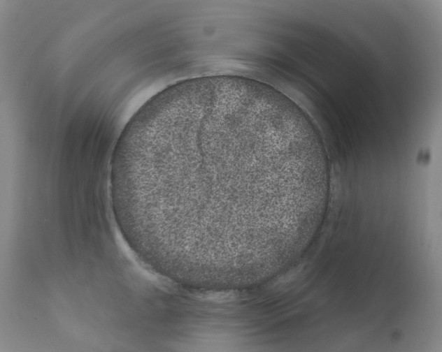 X0000111871047200909031811