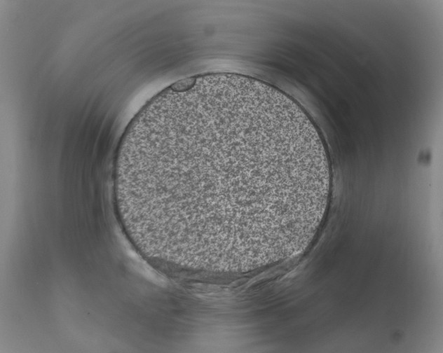 X0000111871048200909031811