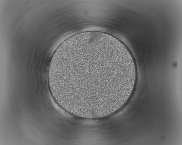 X0000111871049200909031811