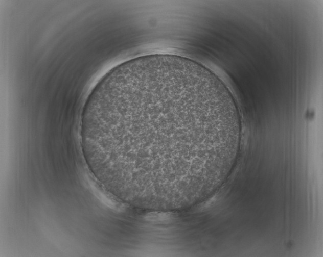 X0000111871051200909031811