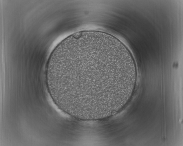 X0000111871053200909031811