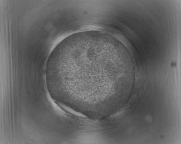 X0000111871055200909031811