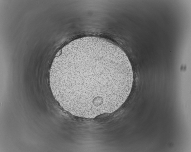 X0000111871057200909031810