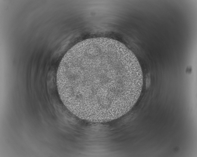 X0000111871059200909031810