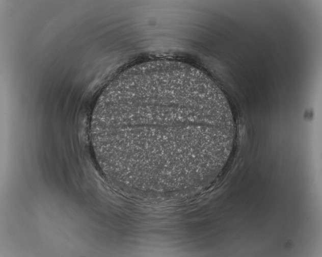 X0000111871060200909031810