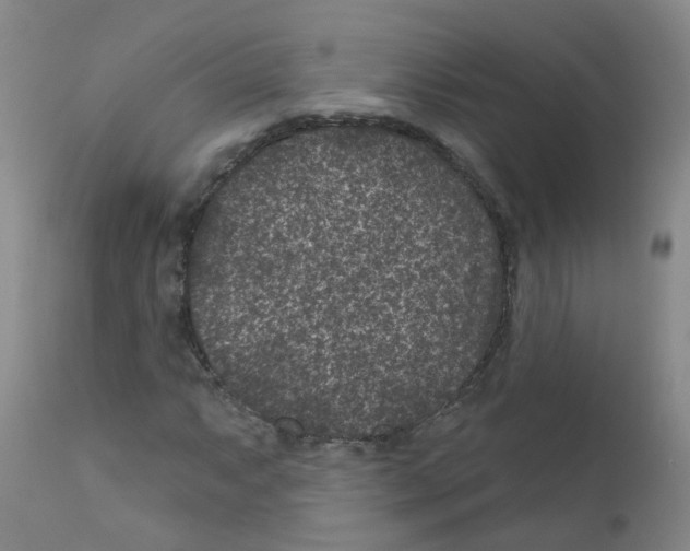 X0000111871063200909031810