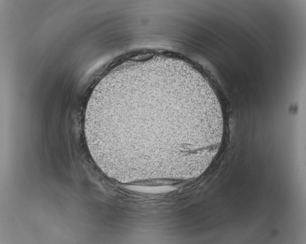 X0000111871064200909031810