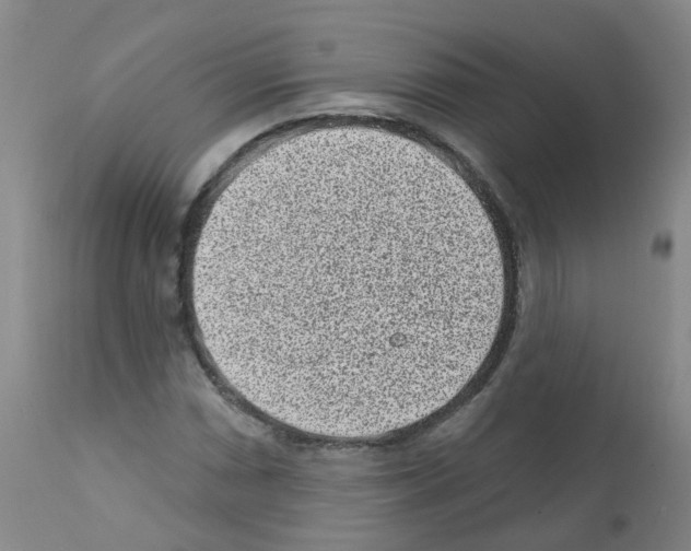 X0000111871066200909031810