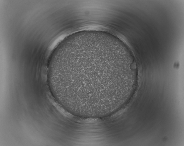 X0000111871067200909031810