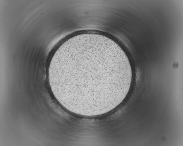 X0000111871069200909031810