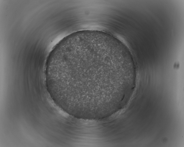 X0000111871071200909031810