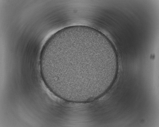 X0000111871072200909031810