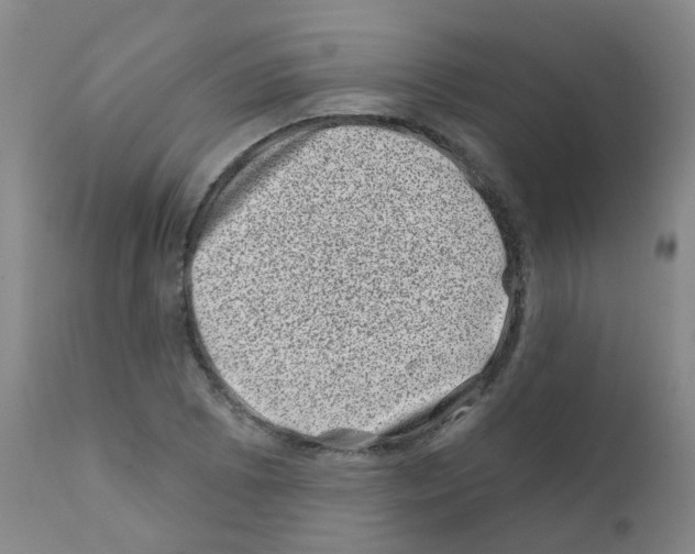 X0000111871073200909031810