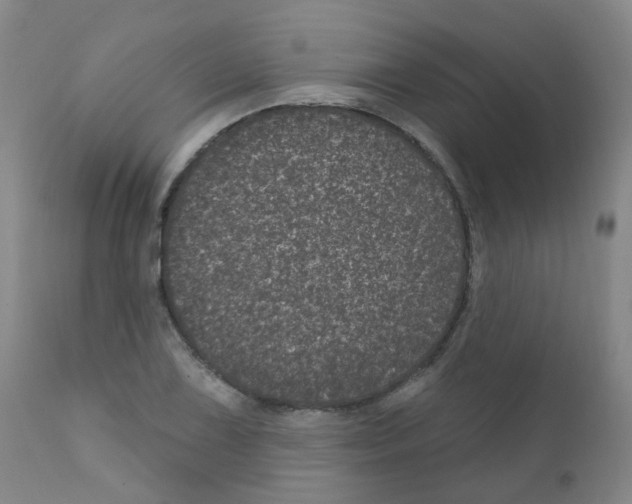 X0000111871075200909031810