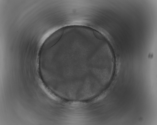 X0000111871077200909031810