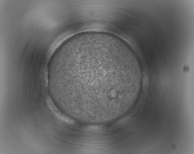 X0000111871078200909031810